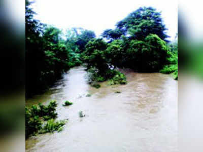 ಮುಂಗಾರು ಮೊರೆತಕ್ಕೆ ಮೆತ್ತಗಾದ ಮಲೆನಾಡು