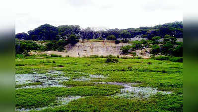 ಲಾಲ್‌ಬಾಗ್‌ನ ‘ಜವರಯ್ಯ ಫಾಲ್ಸ್’ಗೆ ಪುನರುಜ್ಜೀವ