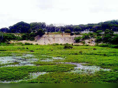 ಲಾಲ್‌ಬಾಗ್‌ನ ‘ಜವರಯ್ಯ ಫಾಲ್ಸ್’ಗೆ ಪುನರುಜ್ಜೀವ