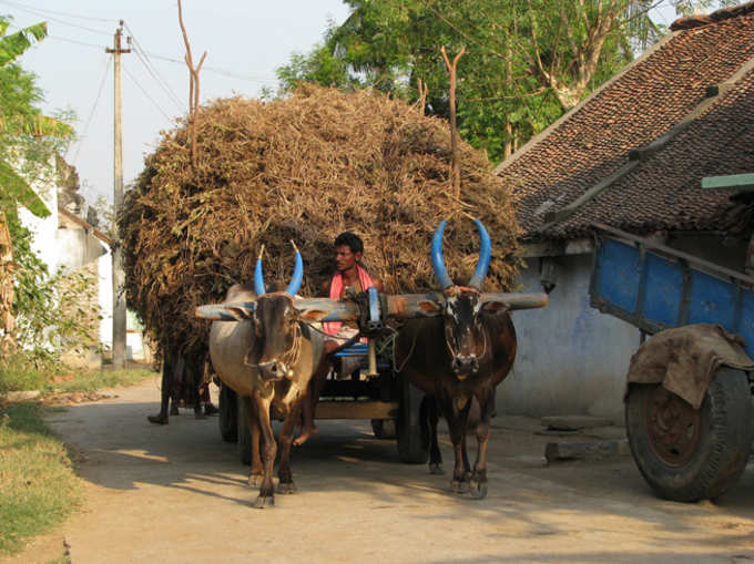 75 फीसदी परिवारों की कमाई 5000 से कम