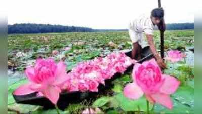 രാമയണത്തെ വരവേല്‍ക്കാന്‍ നാലമ്പലങ്ങള്‍