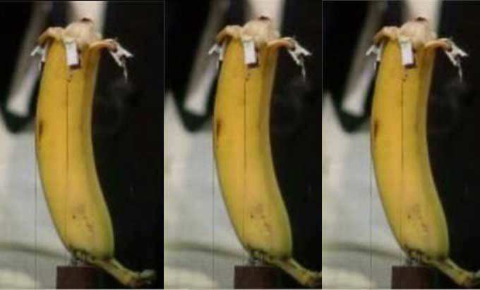 केळ सोलणारं मशीन