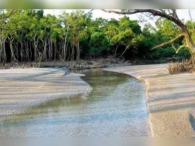 বাদা বনে ভারতের শেষ গ্রাম