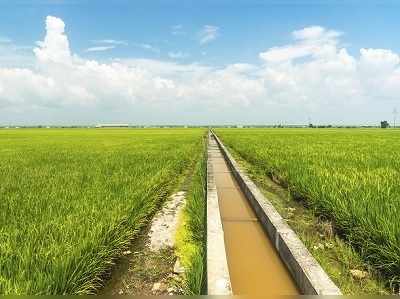 জমির বকেয়া মেটাতে দেউলিয়ার পথে রাজ্য