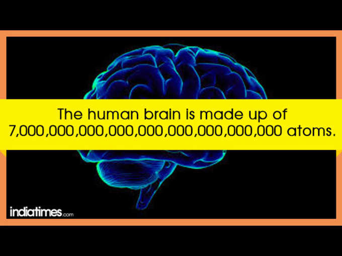 अद्भुत है आपका शरीर, क्या आपको पता है?