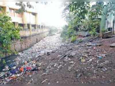 ಸಂತೆ, ಕೋಡಿ ಬೀದಿಯಲ್ಲಿ  ಅನೈರ್ಮಲ್ಯ: ಜ್ವರ ಭೀತಿ