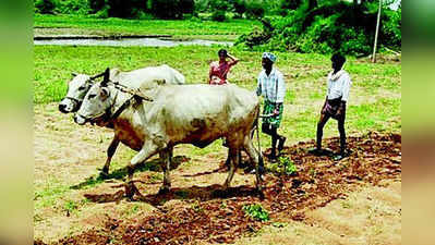 ರೈತರ ಸಾಲಕ್ಕೂ ಬಿತ್ತು ಕಲ್ಲು