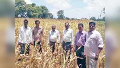 ಬರಪೀಡಿತ ಪ್ರದೇಶಕ್ಕೆ ಅಧಿಕಾರಿಗಳ ತಂಡ ಭೇಟಿ