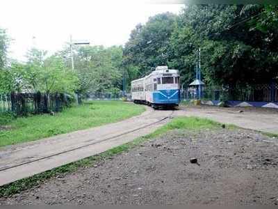 ‘সবুজ ধ্বংসের মানে আমাদের ভবিষ্যত্‍ ধ্বংস’