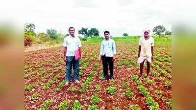 ಬೆಳೆ ಸಮೀಕ್ಷೆ ಆರಂಭ