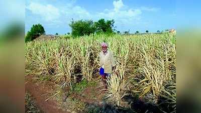 ಮಳೆ.. ನೀ ಬರದಿದ್ದರೆ ಗೋಳು