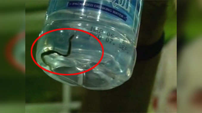 Shocking: Snakelet found in bottled water served to JP Nadda, Raman Singh