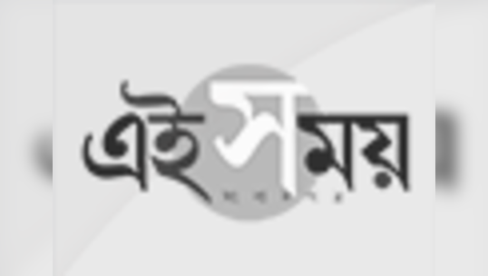 শিল্প ও সৃজনশীলতার শোকেসে কলকাতার পুজো কি বিশ্বের সেরা ক্রিয়েটিভ কার্নিভাল?