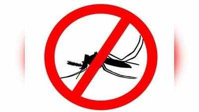 इन देशों में ढूंढे नहीं मिलेगा मच्छर- No Mosquito Land