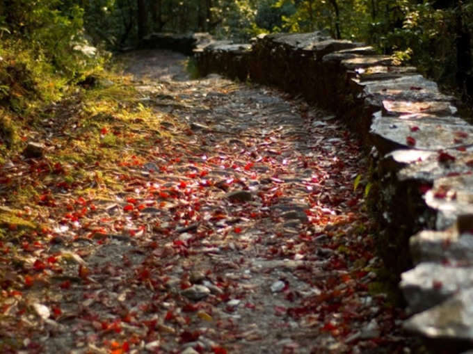 उत्तराखंड