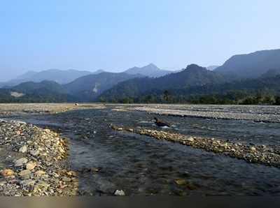 কটেজ হলে তৃষ্ণায় মরবে সব বন্যপ্রাণী