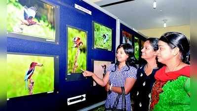 ಛಾಯಾಚಿತ್ರಗಳಲ್ಲಿ  ಪಕ್ಷಿ-ಪ್ರಾಣಿಗಳ ಬಿಂಕ,ಬಿನ್ನಾಣ