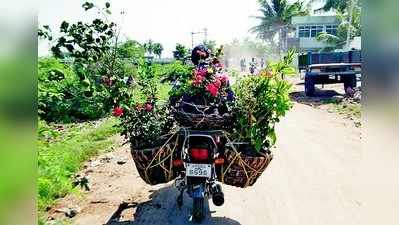 ಮಳೆ: ಹೂ, ಹಣ್ಣಿನ ಗಿಡಗಳಿಗೆ ಬೇಡಿಕೆ