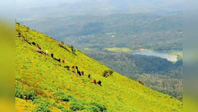 ಮಂಜು ಮುಸುಕಿದ ಮುಳ್ಳಯ್ಯನಗಿರಿ!