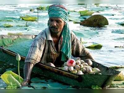 প্রতিমার পদ্ম জুগিয়েও মেলে না লাভের কড়ি