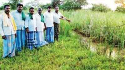 ಹೊಲಗಾಲುವೆ ಅವ್ಯವಸ್ಥೆ: ರೈತರ ಆಕ್ರೋಶ