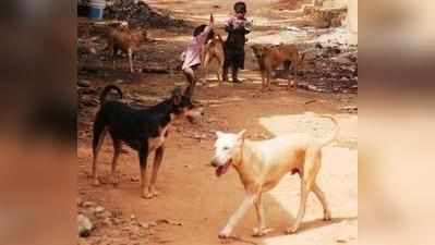 തെരുവ് നായ്ക്കളെ കൊല്ലാമെന്ന് സുപ്രീംകോടതി