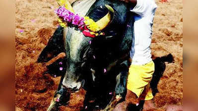 ಕೋಣ ಬಲಿ ನಿಲ್ಲಿಸಿ : ಸೇನೆಗೆ ಸೂಚನೆ