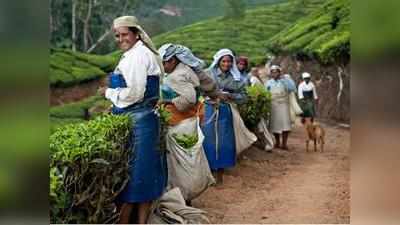 തോട്ടം മേഖലയില്‍ കൂലി വര്‍ദ്ധന നടപ്പാക്കും