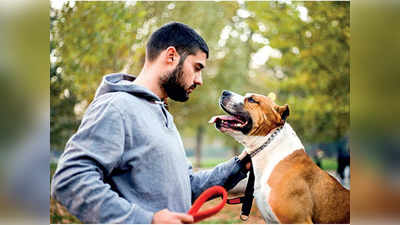 Dog Trainer: डॉग ट्रेनर व्हायचंय? जाणून घ्या सर्व प्रश्नांची उत्तरे