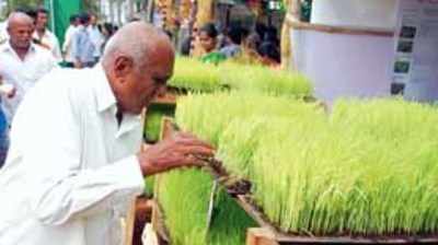 ಮೇಳದಲ್ಲಿ ಗಮನ ಸೆಳೆದ ತಳಿಗಳ ಪ್ರದರ್ಶನ