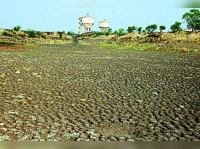 ಬರ ಭೀಕರ, ಹಿಂಗಾರಿಗೂ ಹಿನ್ನಡೆ