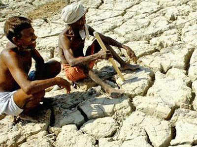 सूखा प्रभावित किसानों को अब तक लगभग 42 करोड़ रुपए का मुआवजा