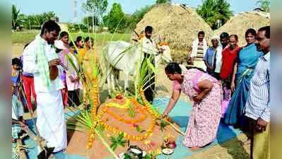 ಧಾನ್ಯ ರಾಶಿಗೆ ಪೂಜೆ, ರಾಸುಗಳಿಗೆ ಸಿಂಗಾರ