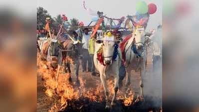 ಜೆಪಿ ನಗರದಲ್ಲಿ  ‘ಸಂಕ್ರಾಂತಿ ಸಂಭ್ರಮ’ದ ಕಿಚ್ಚು