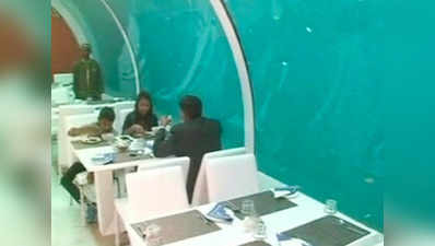 Indias first underwater restaurant opens in Ahmedabad 