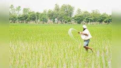 बासमती चावल की जंग में भारत से हारा पाकिस्तान