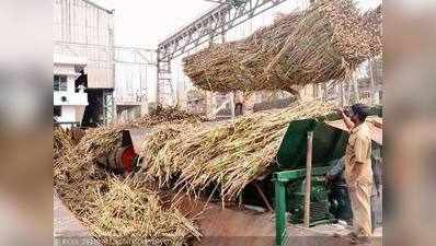 महाराष्ट्र में गन्ने की बुआई घटी, चीनी के दाम और बढ़ेंगे