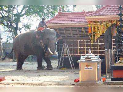 కేరళ దేవాలయంలో రెచ్చిపోయిన ఏనుగు..