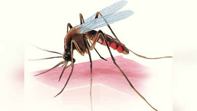 एक खुराक में हो सकेगा मलेरिया का इलाज