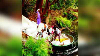 ಸೌಲಭ್ಯ ವಂಚಿತ ಮಲೆಕುಡಿ ಕುಟುಂಬ