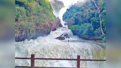 ಜೋಗದಲ್ಲಿ ಎರಡು ಹೊಸ ಜಲಧಾರೆ ಸೃಷ್ಟಿ