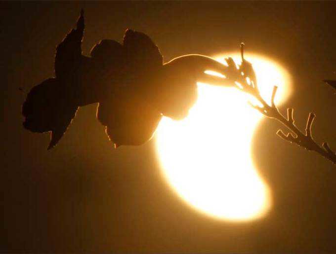 कंबोडिया में सूर्य ग्रहण