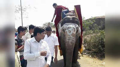 दो पीढ़ी बाद बेटी जन्मी, परिवार ने हाथी पर गन्ने बांट मनाई खुशी
