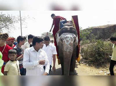 মেয়ে জন্মানোয় হাতিকে মিষ্টি খাইয়ে সেলিব্রেট করল গোটা গ্রাম