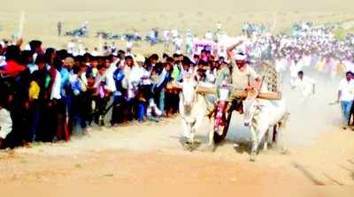 ಸಾಲಿಗ್ರಾಮ: ಮೈನವಿರೇಳಿಸಿದ ಎತ್ತಿನ ಗಾಡಿ ಓಟದ ಸ್ಪರ್ಧೆ