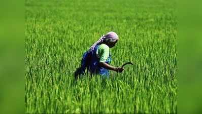 गुजरात: 2017 चुनाव के लिए गांवों-किसानों पर BJP का ध्यान