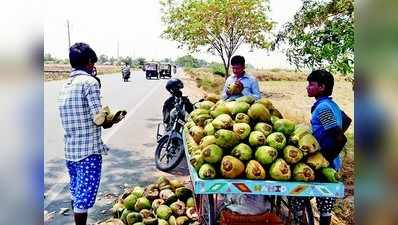 ಬೇಸಿಗೆ ಬಿಸಿಲು; ಜನ ಎಳೆನೀರಿಗೆ ಮೊರೆ