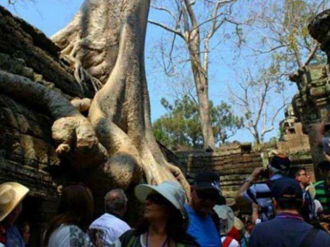 कम्बोडिया के सिएम रीप के मंदिर देखना (हकीकत)