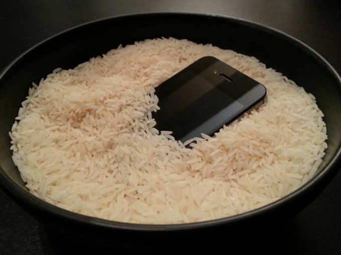 चावल में डालें