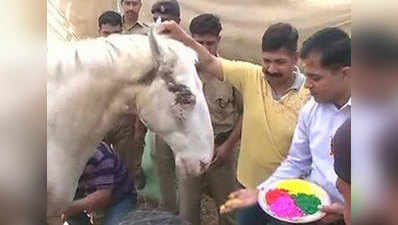 పోలీస్ గుర్రం శక్తిమాన్ తో పోలీసుల హోలీ ఆట 